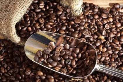 tips menghasilkan bubuk kopi berkualitas