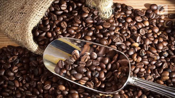 tips menghasilkan bubuk kopi berkualitas