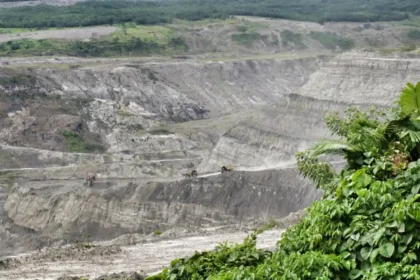 Karakteristik lahan bekas tambang