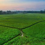 cara memindahkan air ke sawah
