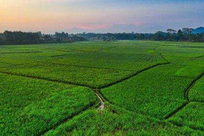 cara memindahkan air ke sawah