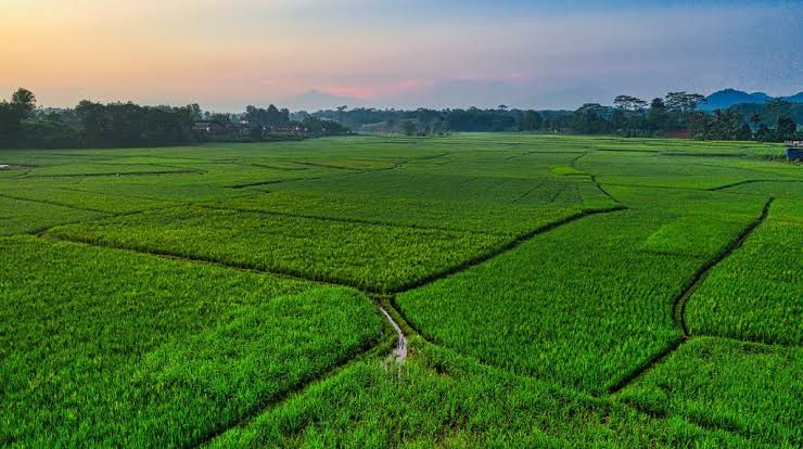 cara memindahkan air ke sawah