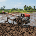 persiapan lahan sebelum tanam