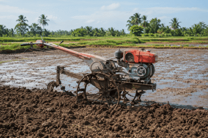 persiapan lahan sebelum tanam