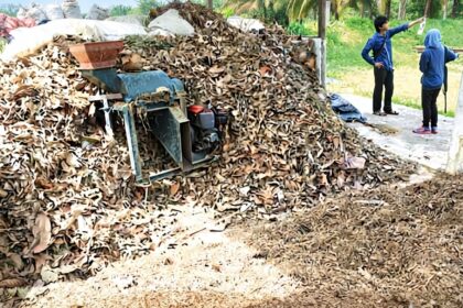 cara mencacah daun untuk kompos