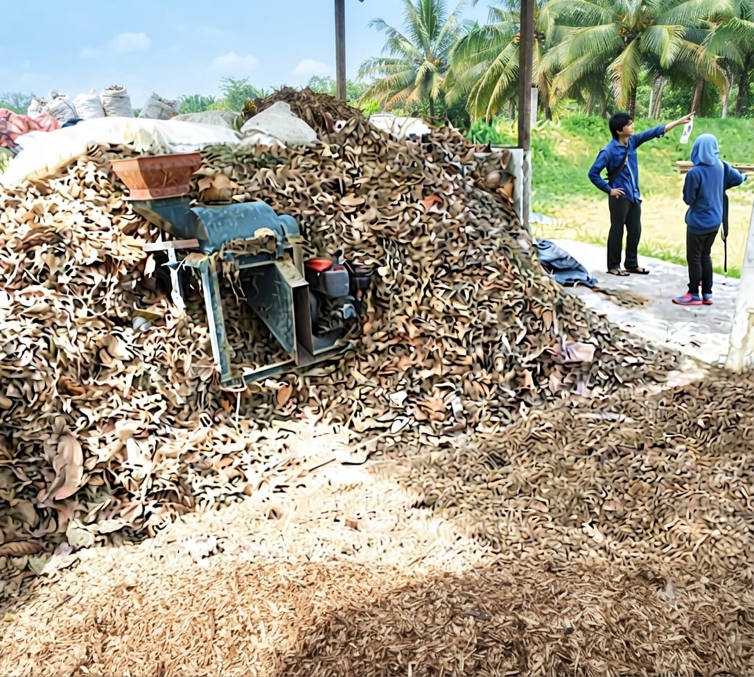 cara mencacah daun untuk kompos