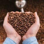 faktor keberhasilan pengupasan kopi