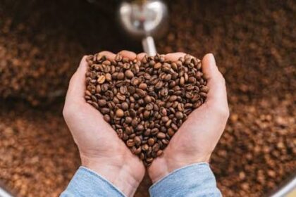 faktor keberhasilan pengupasan kopi