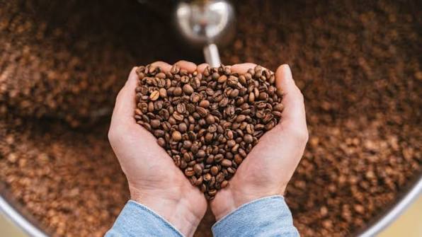 faktor keberhasilan pengupasan kopi