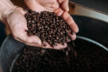 cara mengolah kopi menjadi green bean