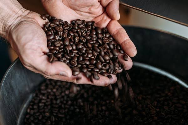 cara mengolah kopi menjadi green bean