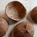 manfaat batok kelapa untuk usaha