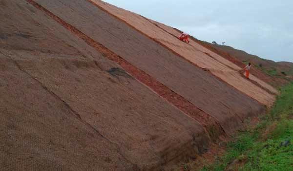 material alami untuk perlindungan lereng jalan dari erosi